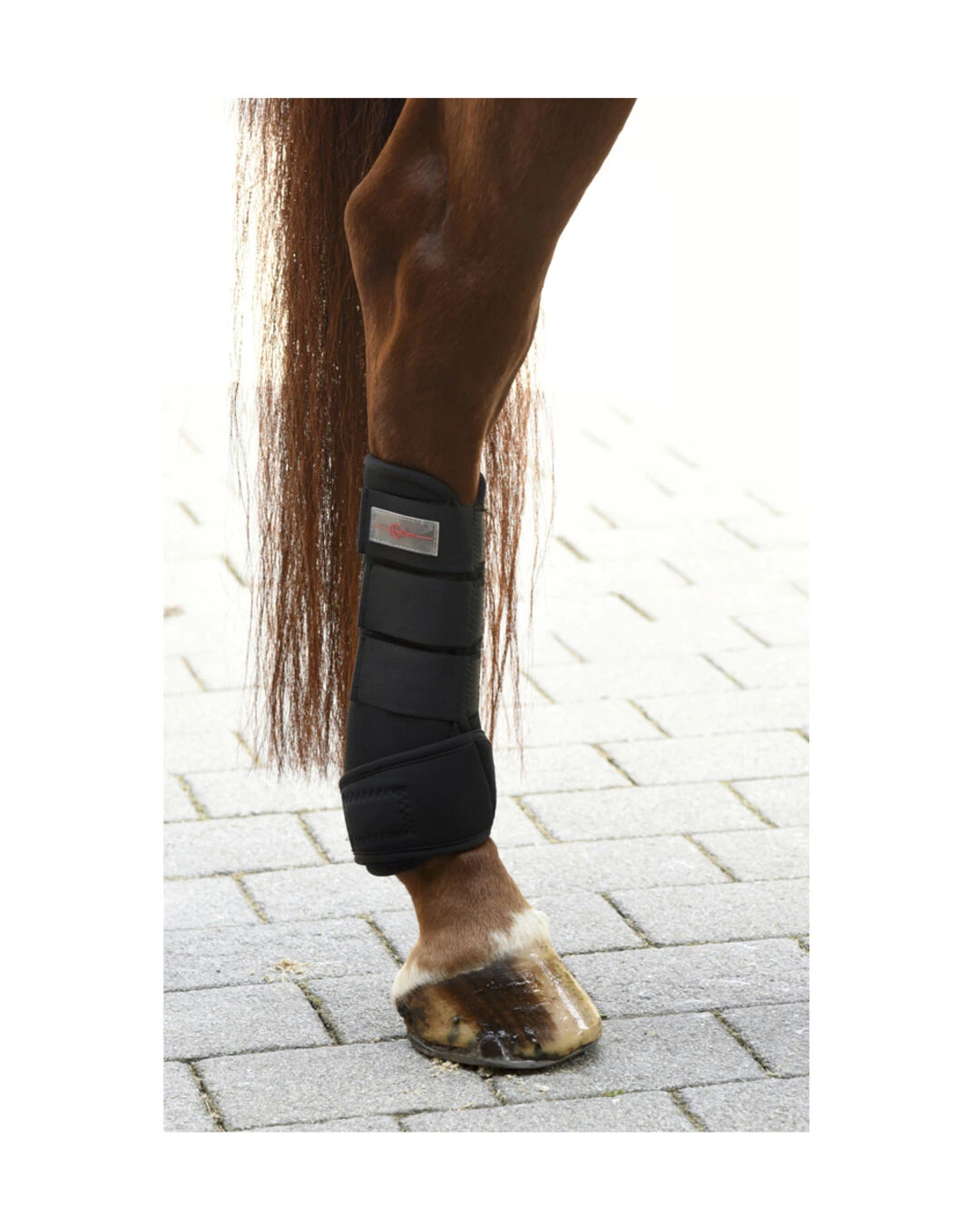 Covalliero Fesselkopfgamasche - Image 8