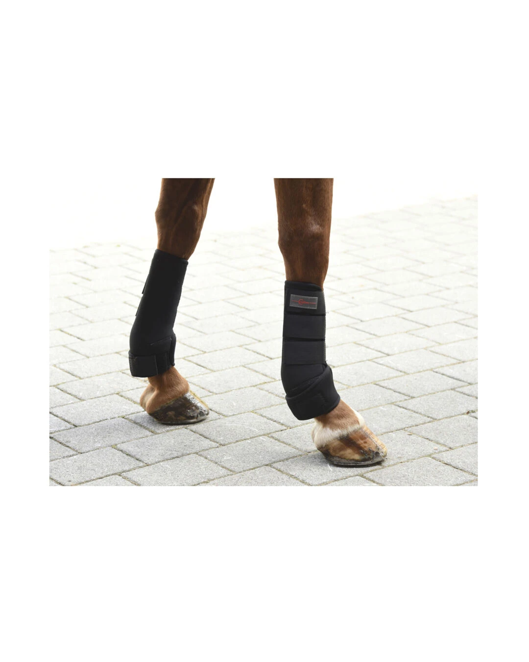 Covalliero Fesselkopfgamasche - Image 6