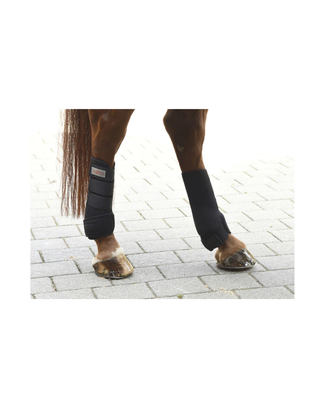 Covalliero Fesselkopfgamasche - Image 7