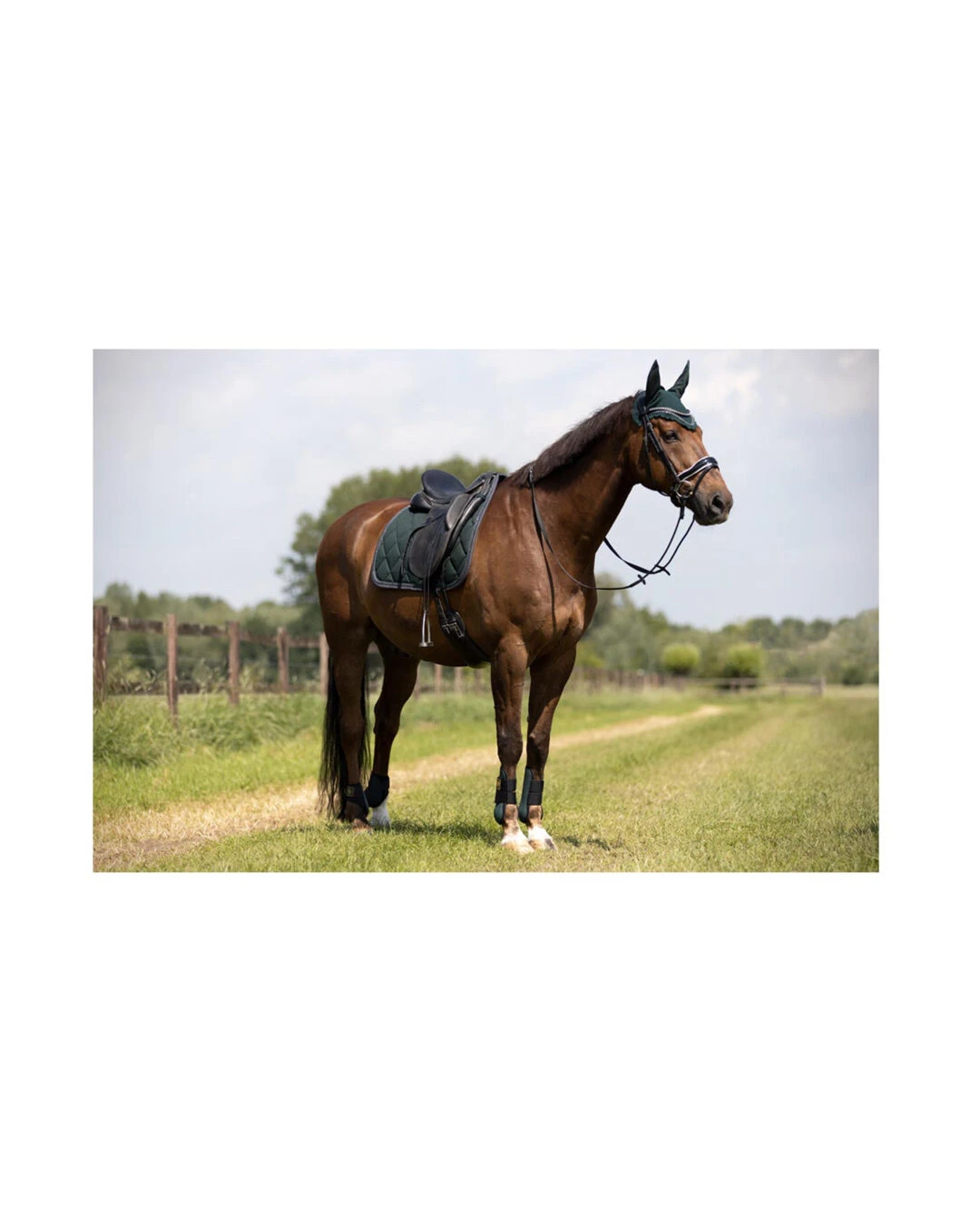 BR Gamaschen Event - Image 2