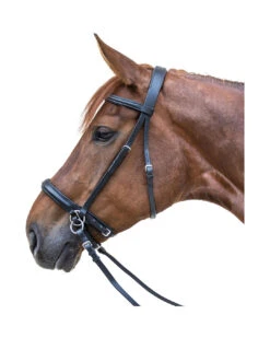 Star Trensenzaum Gebisslos