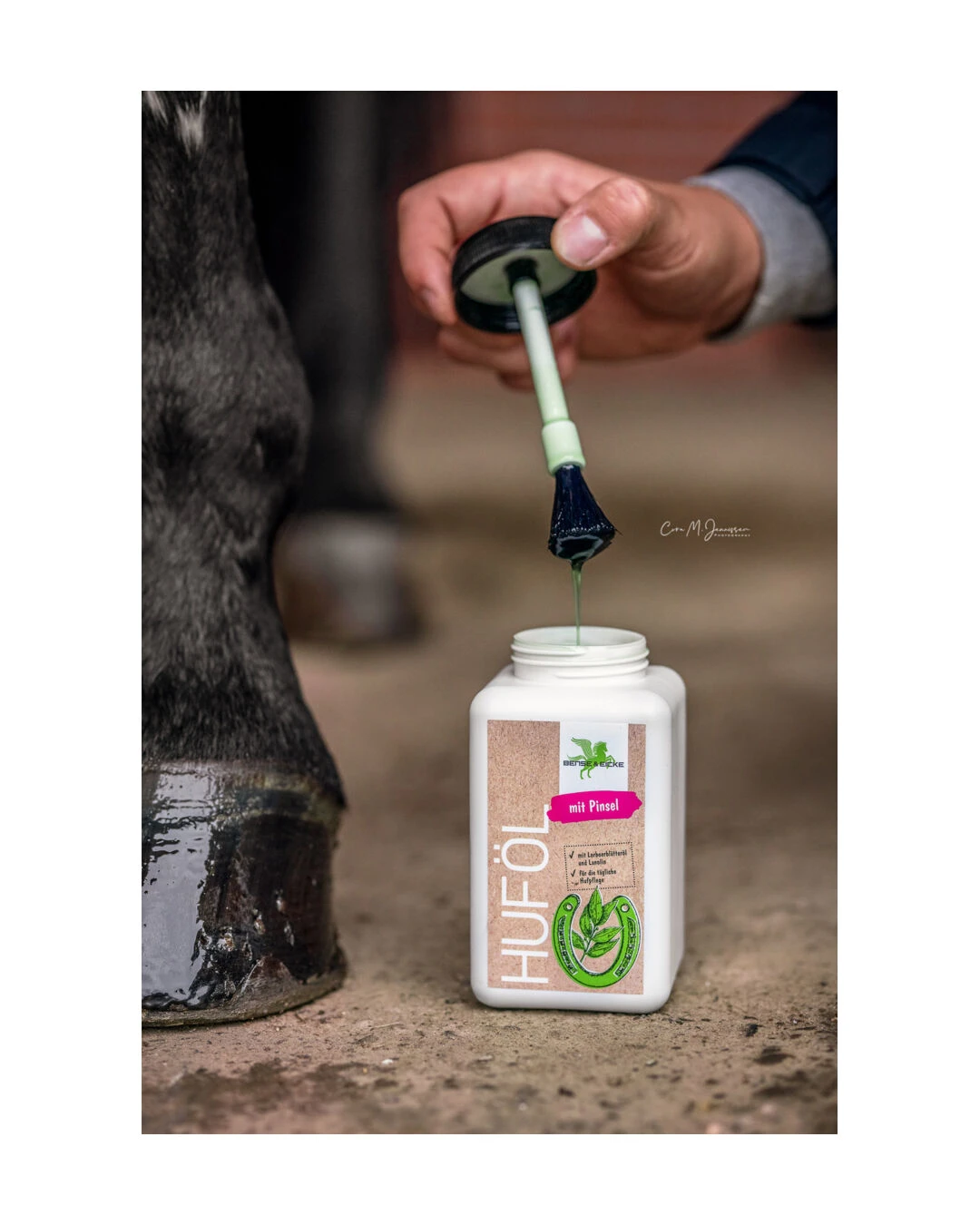 Huföl Lorbeer Mit Pinsel – Bild 2
