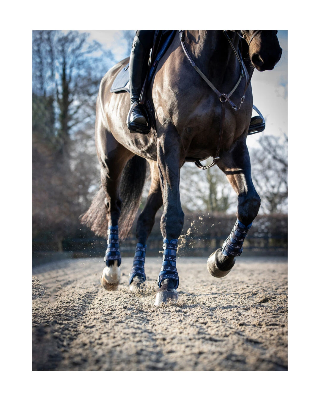 Lemieux Vordergamaschen Ultra-Mes - Image 7