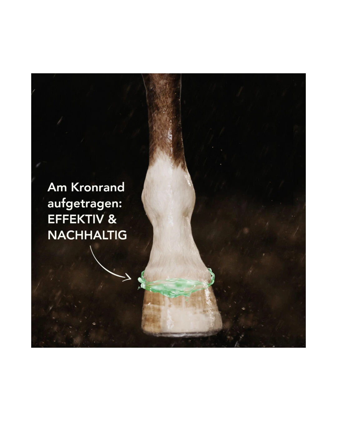 Ungulat Hoof Lotion - Image 2