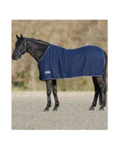 Waldhausen Abschwitzdecke Economic