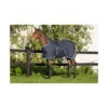 Amigo Foal Rug 50g Ripstop