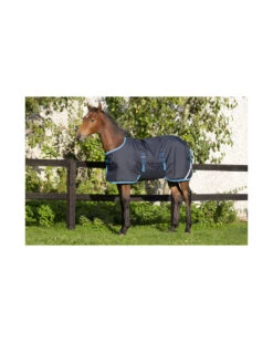 Amigo Foal Rug 50g Ripstop