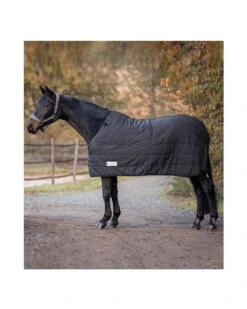 Waldhausen ECONOMIC Thermo Unterdecke, 100 G