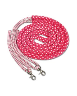 Waldhausen Longierhilfe