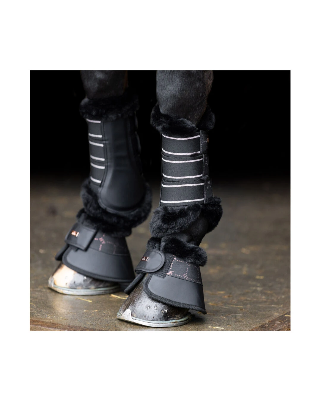 Dressurgamaschen HVPWelmoed Shine - Image 3