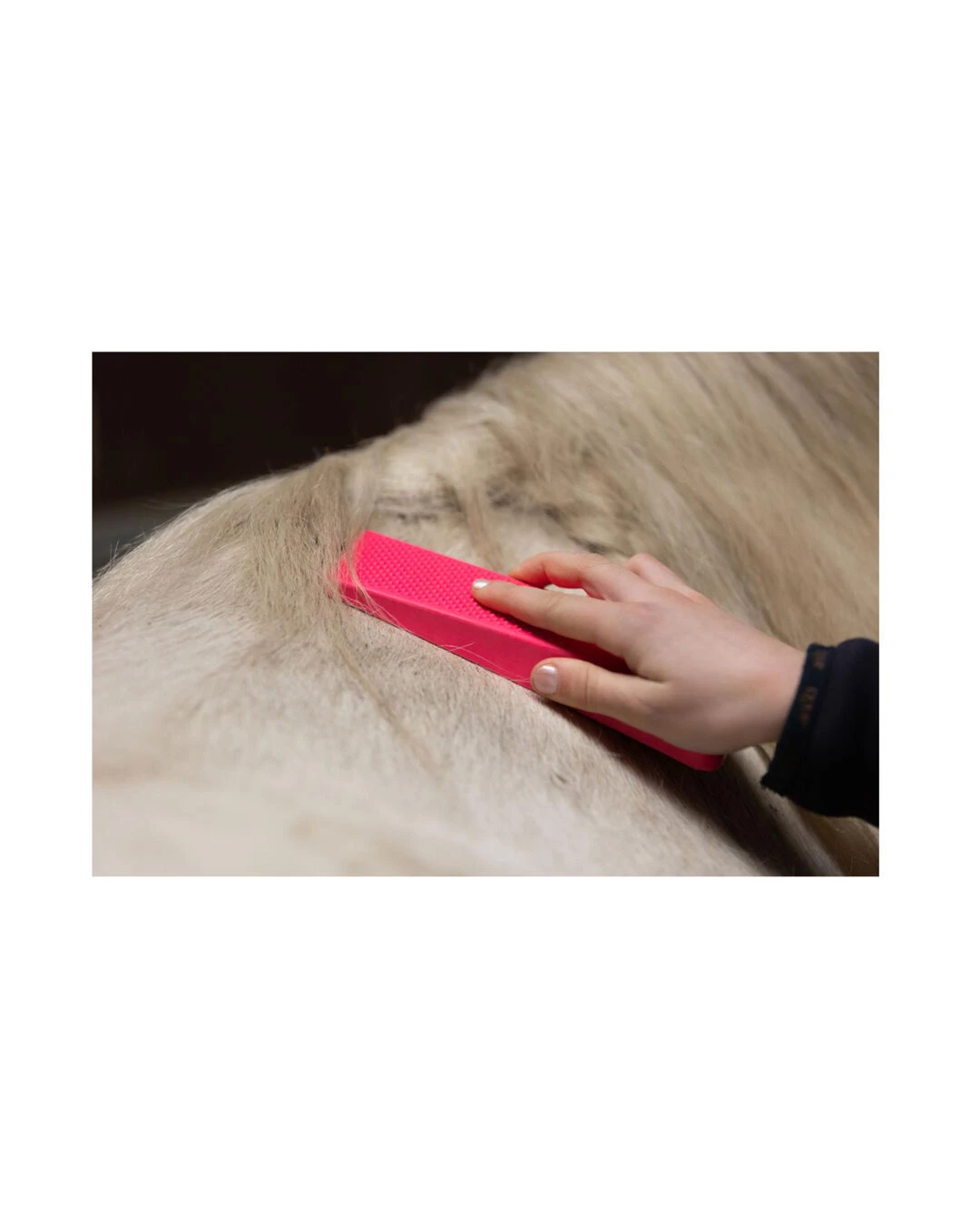 Excellent Striegel Grooming Brush â Bild 4