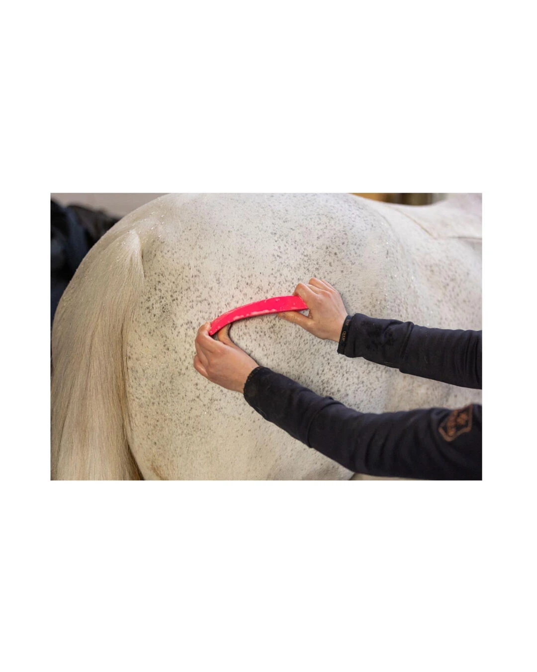 Excellent Striegel Grooming Brush â Bild 6