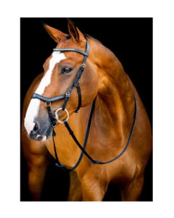 NEW Micklem Diamante Competition Bridle